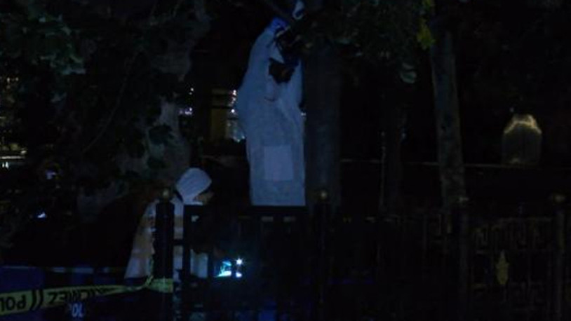 Parkta ağaca asılı erkek cesedi bulundu 