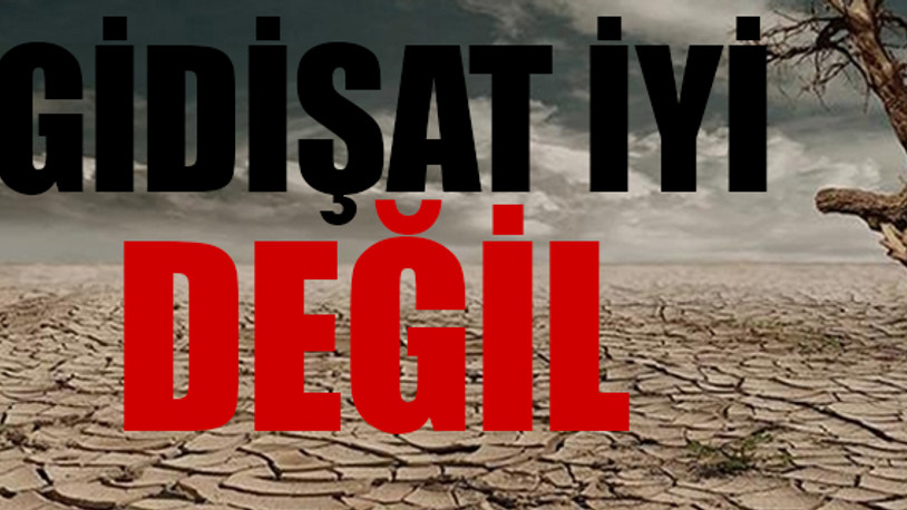 Uzmanlar uyardı: Halı ve araba yıkama genelgeyle yasaklansın