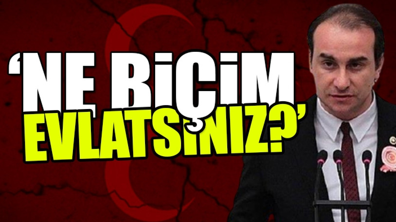 Alparslan Türkeş'in oğlundan MHP'ye ağır ifadeler