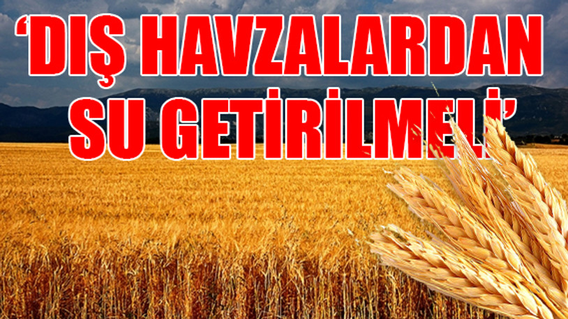 Kuraklık krizi 'buğday' alanlarını vuracak