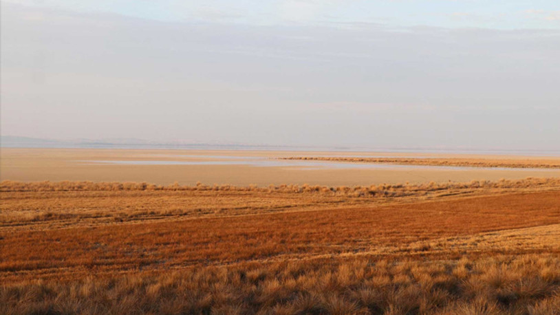 Kuş cenneti Acıgöl de kuruyor