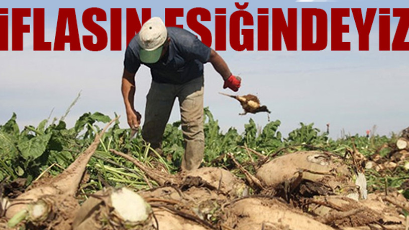 Şeker pancarı üreticileri isyan etti