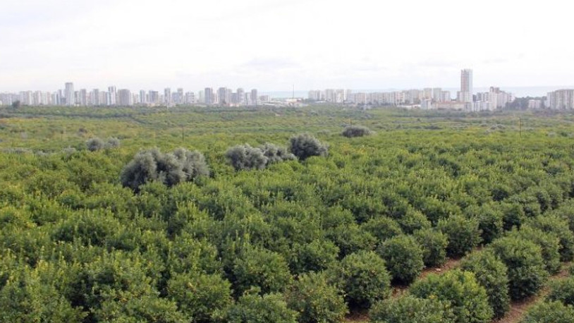 30 bin ağaçlı bölgeye sanayi sitesi