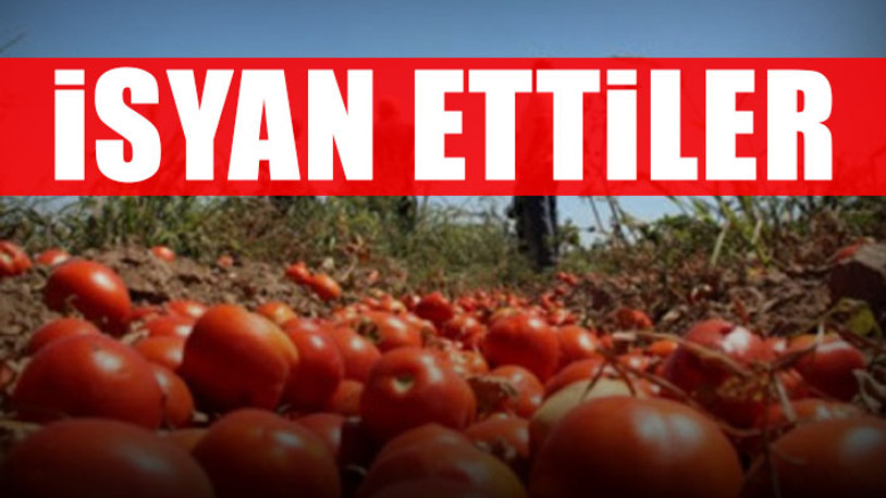 'Burada 1 lira 80 kuruş, İstanbul’da 10 Lira'