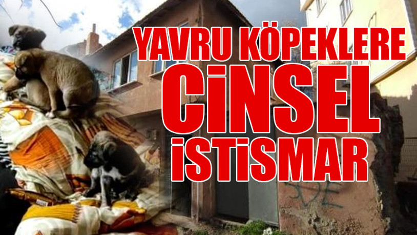 Edirne'de iğrenç iddia...