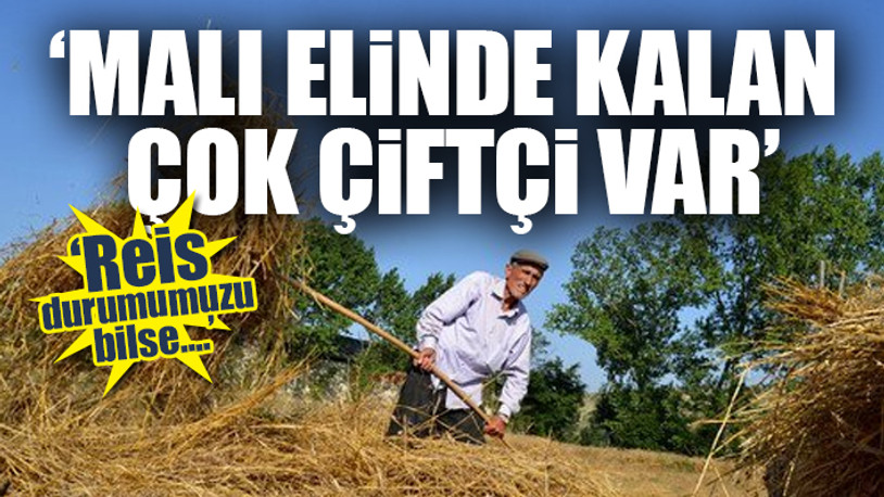 Köylü isyan etti: 60 liralık gübre olmuş 160 lira, köylü bunu nasıl karşılasın?