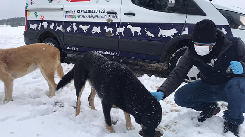 Sokak canları, karlı havada da unutulmadı