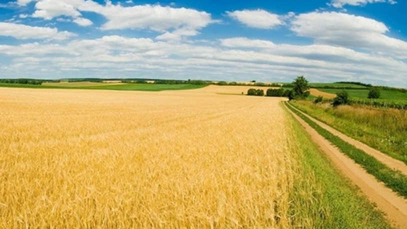 Tarım alanları ranta açılıyor