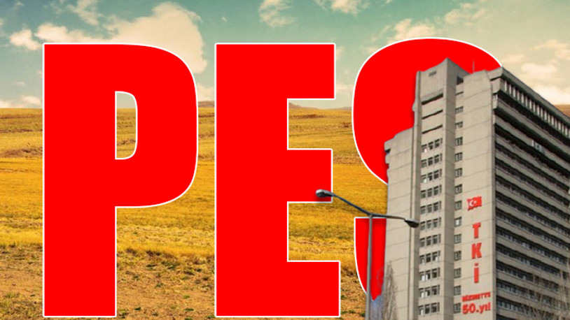 TKİ'de arsalar kayıt dışı