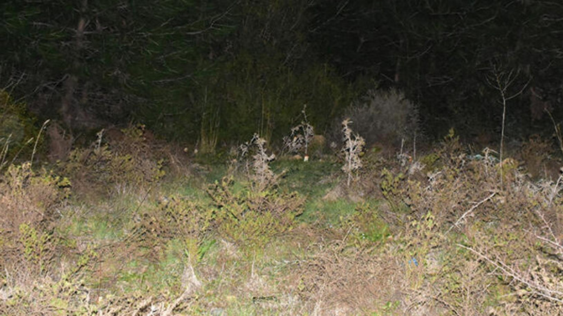20 yaşındaki Ayşe'nin cesedi battaniyeye sarılı olarak bulundu