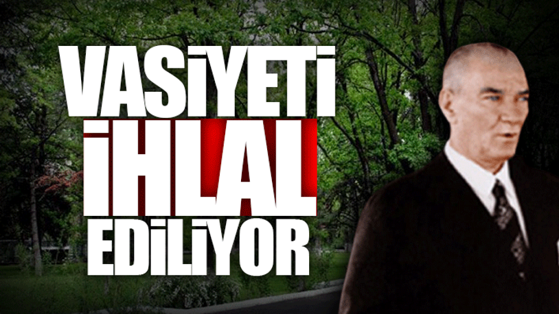 AOÇ'nin metrekaresi 1.5 liradan satışa çıktı