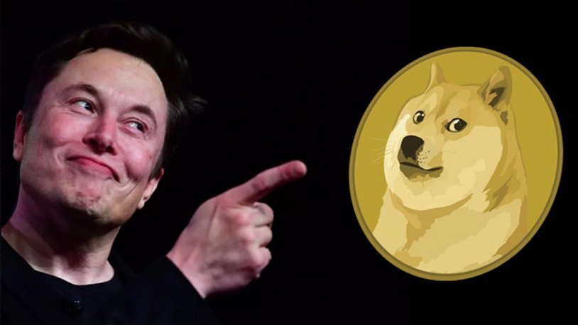 Dogecoin fiyatı 10 günde 100'e katlandı