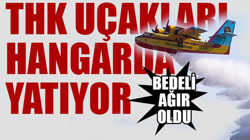 İhale iptal edildi... Bakanlık ısrar ediyor