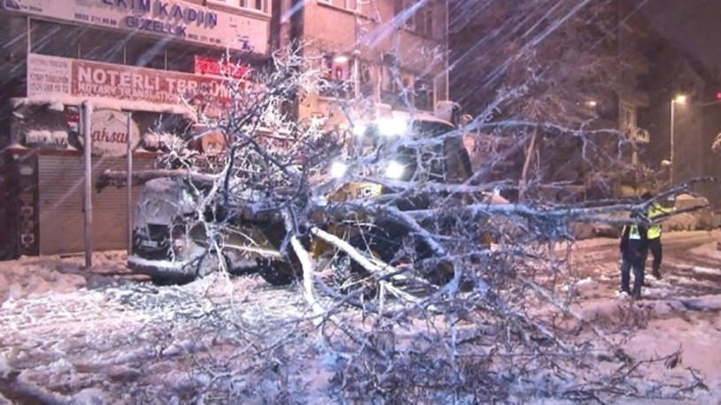 İstanbul'da kar yağışı bazı bölgelerde ağaçları devirdi