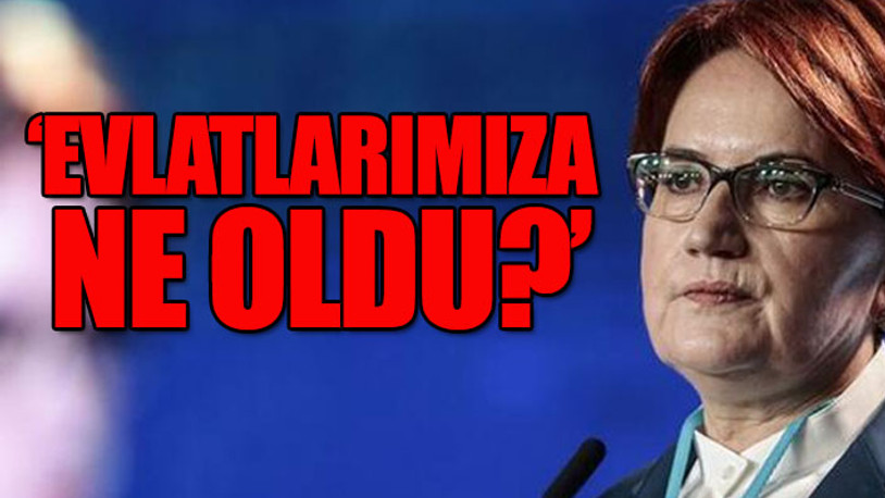 İYİ Parti Lideri Akşener'den iktidara Gara şehitleri çıkışı