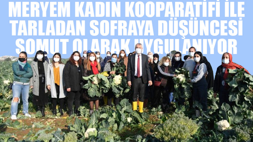 Kadınlar; tarlada, atölyede üretiyor, para kazanıyor