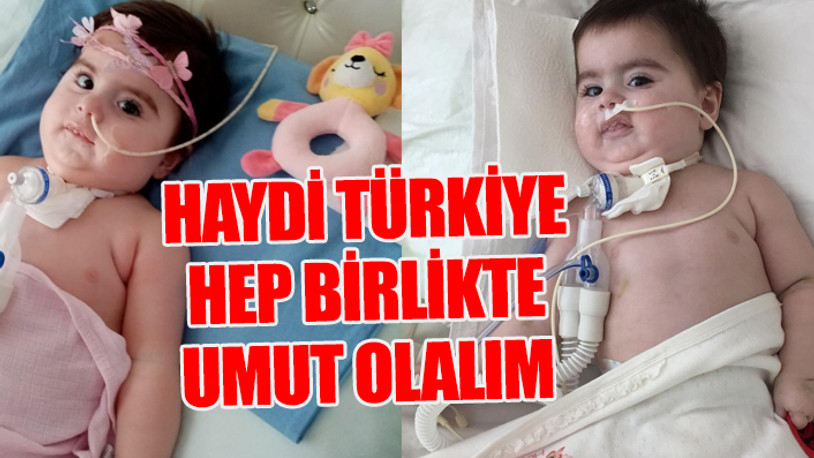 2 buçuk yaşındaki Ela Deniz yardım bekliyor