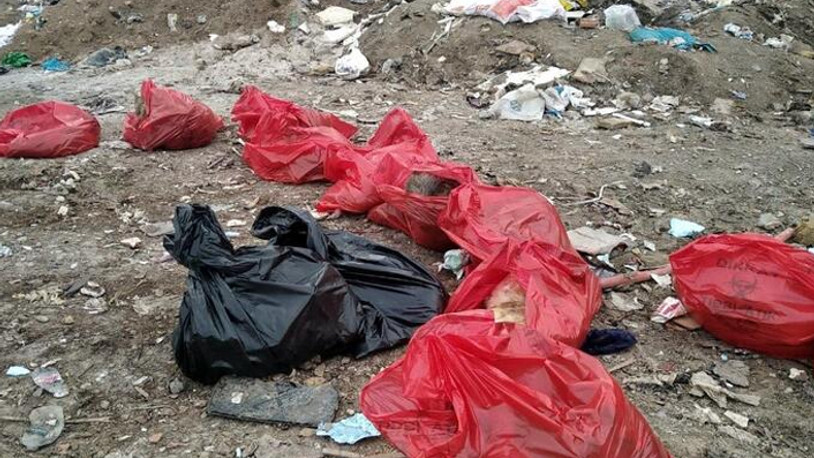 Ankara'da molozların arasında 20 ölü köpek bulundu