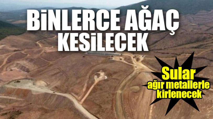 Maden ve Petrol İşleri'nden Cengiz Holding'e ruhsat