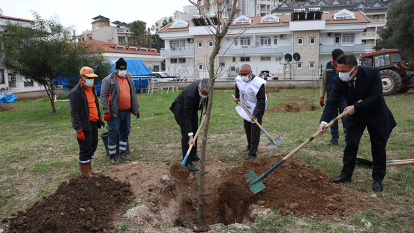 Marmaris'te sağlıkçılar anısına fidan dikildi