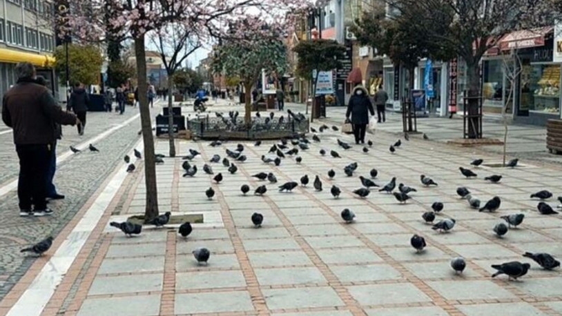 Olağanüstü artışını yaşandığı kentte, vakaların sebebi şaşkına çevirdi