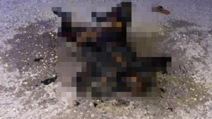 Şanlıurfa’da yanmış kadın cesedi bulundu