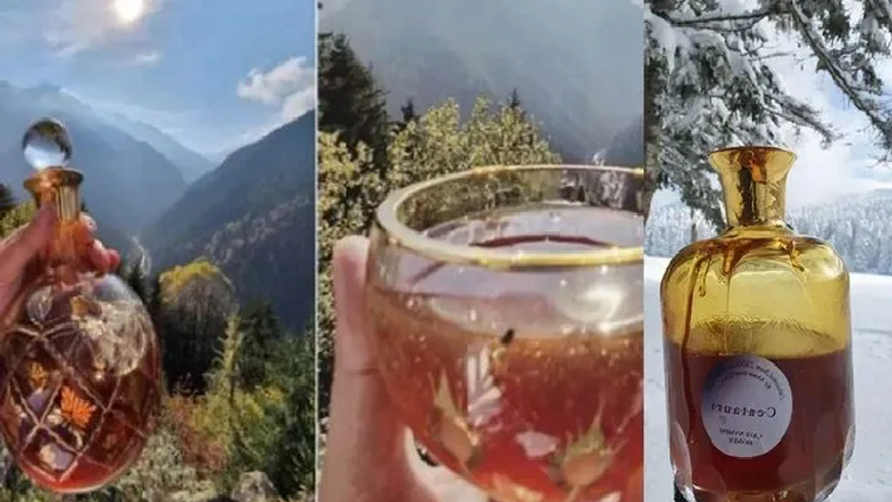 Türkiye'de mağarada toplanan kantaron balı Guinness Rekorlar Kitabı'na girdi