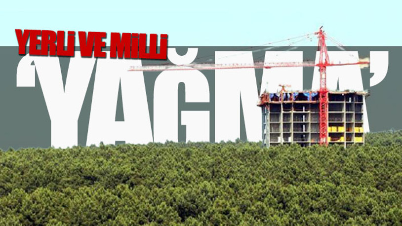 İktidarın 19 yıllık 'talan' raporu ortaya çıktı: Kamu arazileri kimlere gitti?