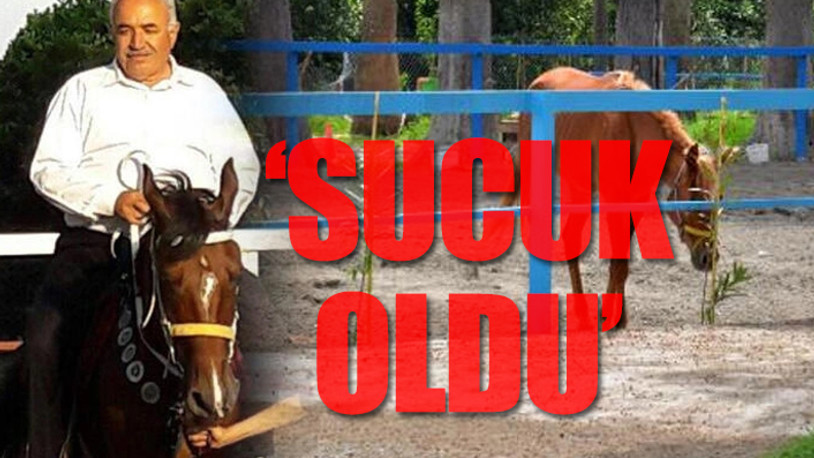 MHP'li belediyede kaybolan atlarla ilgili yeni detaylar...