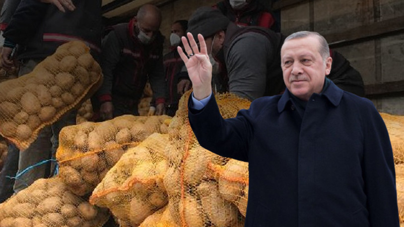 Mine Söğüt: Patates soğan, güle güle Erdoğan