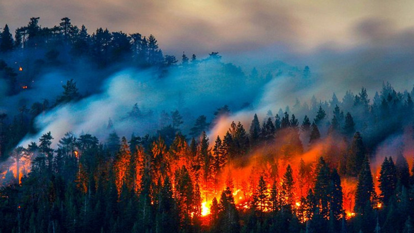 4 yılda İstanbul büyüklüğünde ormanlık alan yangınlarla kül oldu