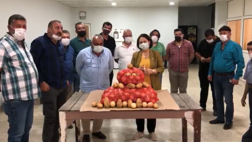 CHP'li Şevkin: Üretim planlaması ve pazarlama politikası yok, ürünler tarlada kalıyor