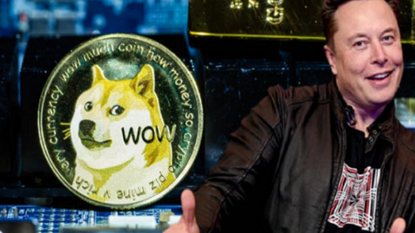 Dogecoin neden düşüyor? Elon Musk'tan yeni 'Dogecoin' açıklaması