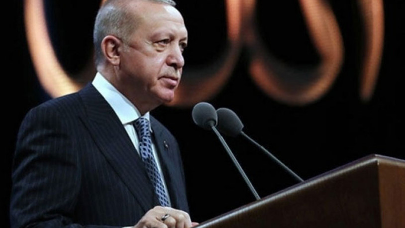 Erdoğan'dan Selvi'ye 'Babacan' telefonu: Neler söyledi?