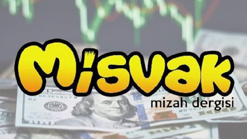 Misvak'tan dolar-TL karikatürü... Güldürmedi