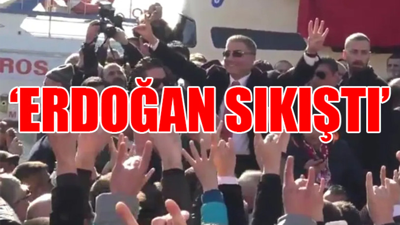 Sedat Peker'in iddiaları New York Times'ta...