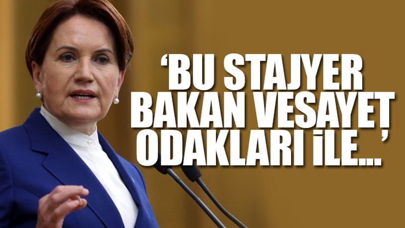 Soylu'nun 'Stajyer Bakan' sözlerine Meral Akşener'den yanıt