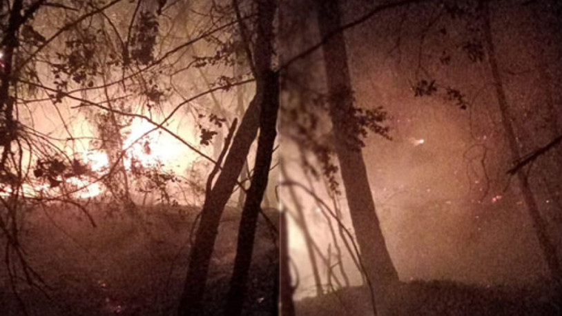 Adana'da orman yangını