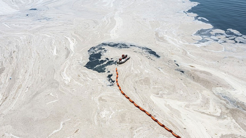Bakan Kurum: 4 bin 202 metreküp müsilajı temizledik