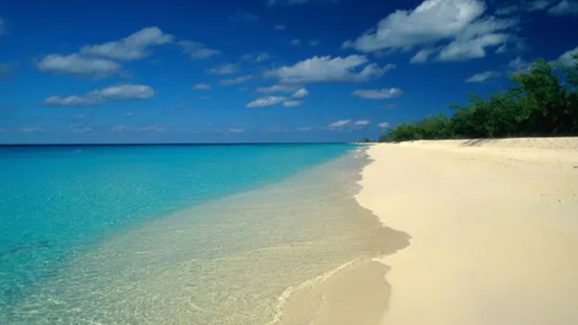 Bir gemide 20 ceset bulundu