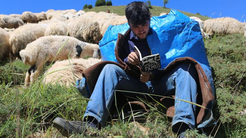 Çobanlık yaparken Robert Lisesi’ne girmişti: Hollanda Büyükelçiliği harekete geçti