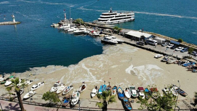 Marmara Denizi'ni tehdit eden deniz salyası dünya basınında