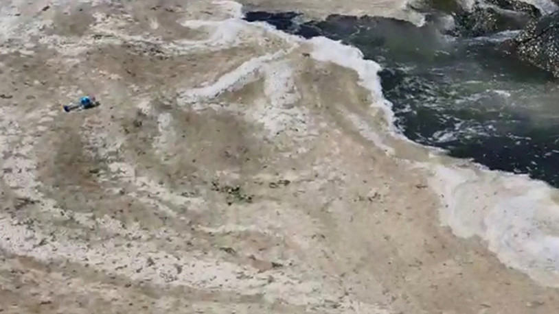 Müsilaj yeniden Gemlik Körfezi'nde