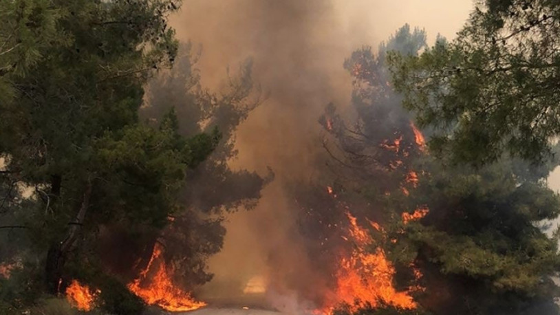 Orman yangınına neden olan kişiye 155 bin lira tazminat cezası