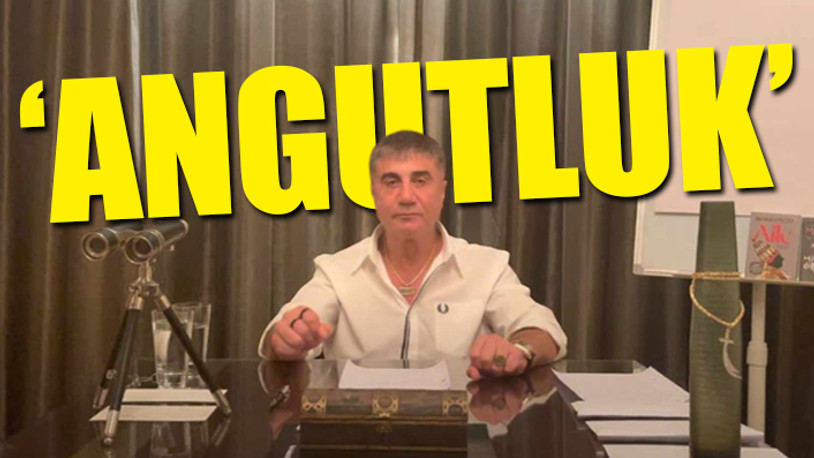 Sedat Peker 'AK Troller'e seslendi