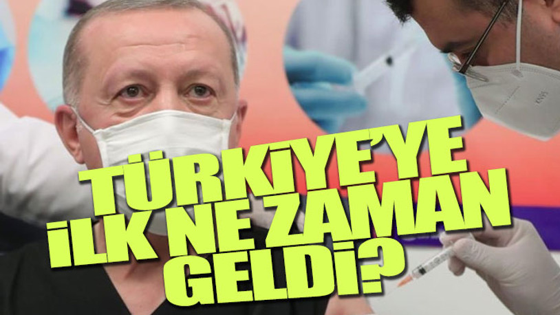 Selvi açıkladı: Erdoğan Biontech aşısı oldu