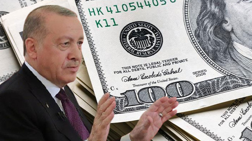Ünlü ekonemistten Erdoğan'a 'rezerv' yanıtı