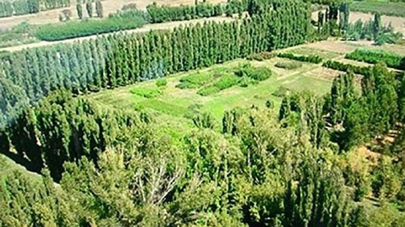 Uzman raporu açıklandı: Medipol’e izin çıkmadı