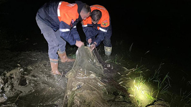Van'da kaçak 3 ton inci kefali ve sazan avına 71 bin TL ceza