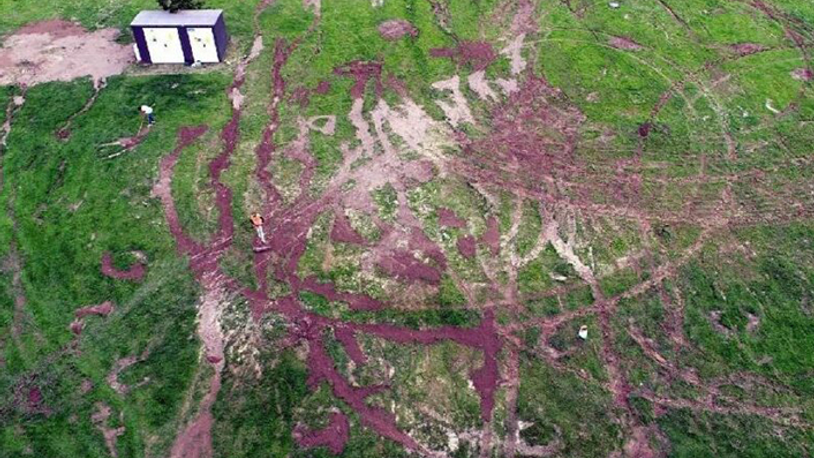 Yeşil alanda driftin cezası belli oldu